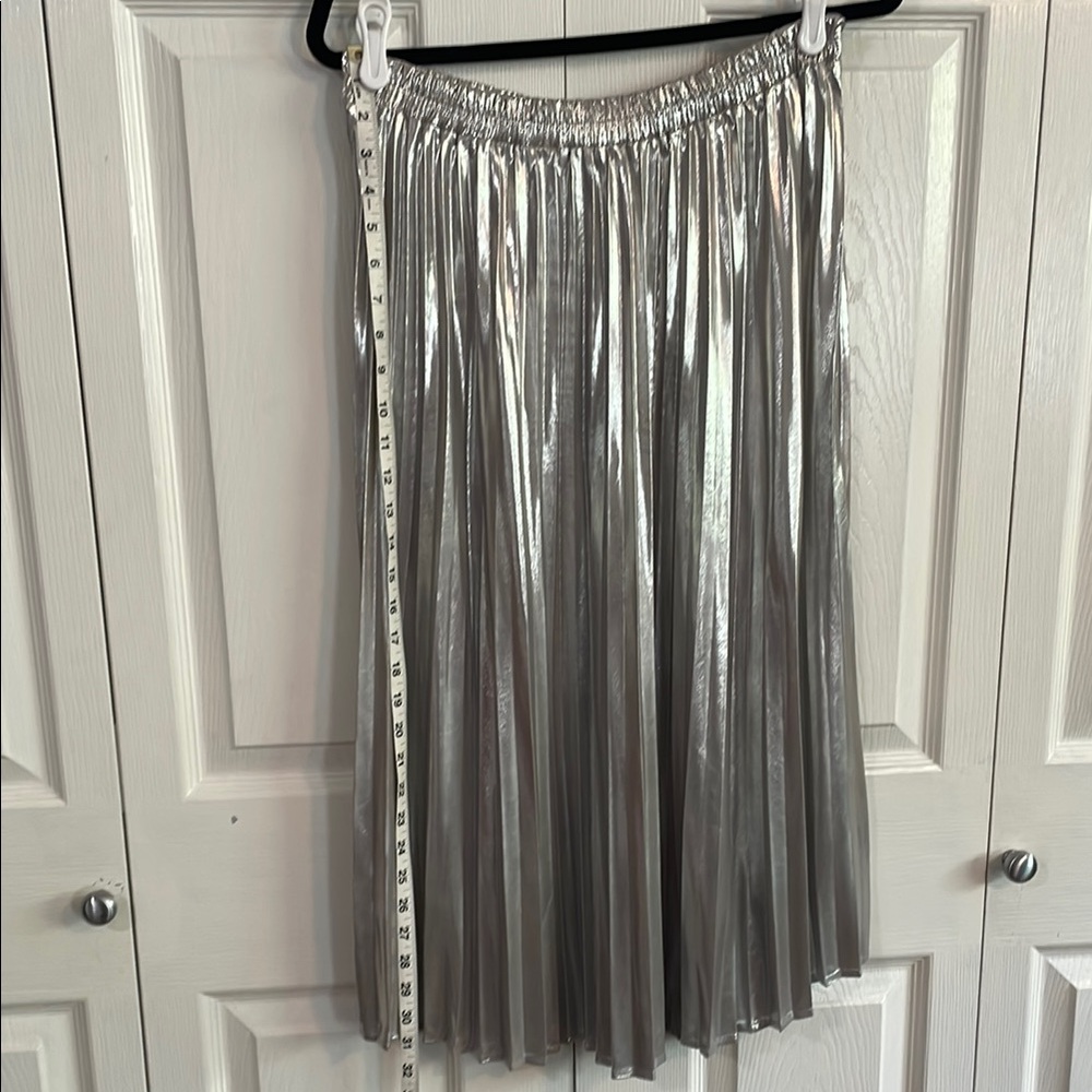 Tullea Silver Midi A-Line Skirt with Pleats - Picture 4 of 5